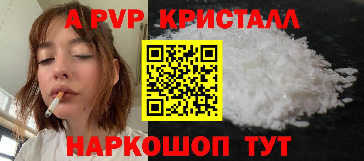 Alfa_PVP СК КРИС Вятские Поляны
