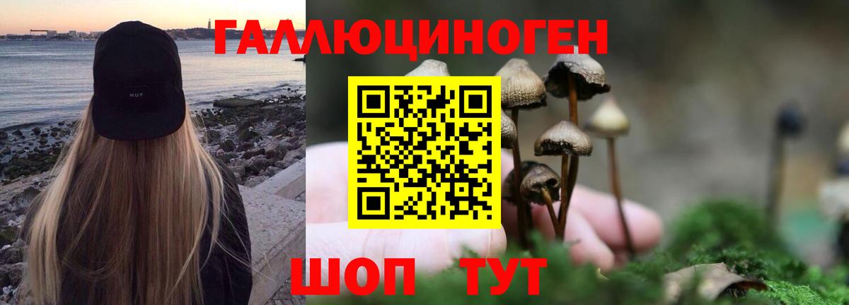 Галлюциногенные грибы MAGIC MUSHROOMS  Псилоцибиновые грибы Magic Shrooms  Вход с VPN  Вятские Поляны 